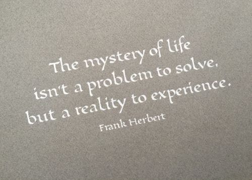 Cita de Frank Herbet